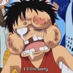 Luffy Beaten up meme