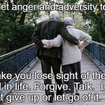 True Happiness | Don't let anger and adversity today... ...make you lose sight of the real goal in life. Forgive. Talk.  Love.  Don't give up or let go of it.  Ever. | image tagged in old couple on bridge | made w/ Imgflip meme maker