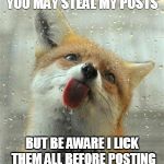 Fox tongue | YOU MAY STEAL MY POSTS; BUT BE AWARE I LICK THEM ALL BEFORE POSTING | image tagged in fox tongue | made w/ Imgflip meme maker