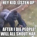 This is getting annoying at my school. | HEY KID, LISTEN UP; AFTER I DIE PEOPLE WILL ALL SHOUT HAR- | image tagged in last moments of harambe,harambe,memes,funny | made w/ Imgflip meme maker