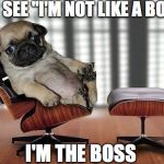 Boss | YOU SEE "I'M NOT LIKE A BOSS."; I'M THE BOSS | image tagged in boss | made w/ Imgflip meme maker