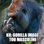 Harambe In Reverse | KU: GORILLA IMAGE TOO MASCULINE | image tagged in harambe middle finger,political correctness | made w/ Imgflip meme maker