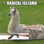 Radical Isllamazation is out of control | RADICAL ISLLAMA | image tagged in llama,leongambetta,dank,isllama,terrorist | made w/ Imgflip meme maker