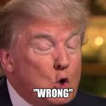 Trump "wrong" meme | "WRONG" | image tagged in trump wrong meme | made w/ Imgflip meme maker