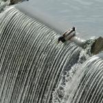 Duck over waterfall