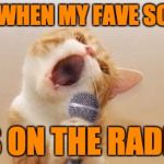 Funny cat | ME WHEN MY FAVE SONG; IS ON THE RADIO | image tagged in funny cat | made w/ Imgflip meme maker