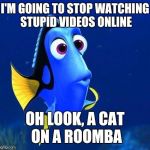 dory | I'M GOING TO STOP WATCHING STUPID VIDEOS ONLINE; OH LOOK, A CAT ON A ROOMBA | image tagged in dory | made w/ Imgflip meme maker