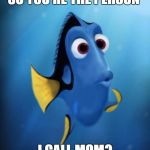 Easily Distracted  | SO YOU'RE THE PERSON; I CALL MOM? | image tagged in easily distracted | made w/ Imgflip meme maker