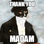 Cat in suit | THANK YOU; MADAM | image tagged in cat in suit | made w/ Imgflip meme maker