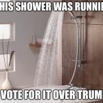 SHOWER BATH | IF THIS SHOWER WAS RUNNING... I'D VOTE FOR IT OVER TRUMP!! | image tagged in shower bath | made w/ Imgflip meme maker