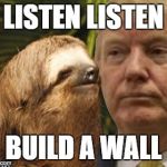 Political advice sloth | LISTEN LISTEN; BUILD A WALL | image tagged in political advice sloth | made w/ Imgflip meme maker