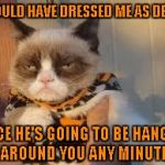 You don't dress up Grumpy Cat! | SHOULD HAVE DRESSED ME AS DEATH; SINCE HE'S GOING TO BE HANGING AROUND YOU ANY MINUTE | image tagged in memes,grumpy cat halloween,grumpy cat | made w/ Imgflip meme maker