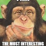 chimpanzee thinking | I AM; THE MOST INTERESTING CHIMP IN THE WORLD. | image tagged in chimpanzee thinking | made w/ Imgflip meme maker