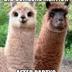 Happy Birthday Llama | DID SOMEONE MENTION; AFTER PARTY? | image tagged in happy birthday llama | made w/ Imgflip meme maker