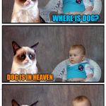 Grumpy Baby | WHERE IS DOG? DOG IS IN HEAVEN; GOOD. | image tagged in dad joke cat,memes | made w/ Imgflip meme maker