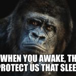 Thinking Gorilla On the One Hand Meme Generator - Imgflip