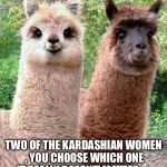 Happy Birthday Llama | TWO OF THE KARDASHIAN WOMEN , YOU CHOOSE WHICH ONE IT REALLY DOESN'T MATTER. .... | image tagged in happy birthday llama | made w/ Imgflip meme maker