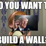 Do you want to build a snowman? | DO YOU WANT TO; BUILD A WALL? | image tagged in do you want to build a snowman | made w/ Imgflip meme maker