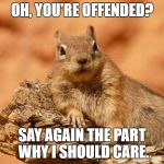 Social Expectations Squirrel has no time for your bs. | OH, YOU'RE OFFENDED? SAY AGAIN THE PART WHY I SHOULD CARE. | image tagged in memes,social expectations squirrel,funny,relatable,stupid liberals,offended | made w/ Imgflip meme maker