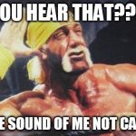 Hulk Hogan Ear | YOU HEAR THAT??? IT'S THE SOUND OF ME NOT CARING!!! | image tagged in hulk hogan ear,i don't care,i don't know who are you,i don't give a fuck,get over it,funny memes | made w/ Imgflip meme maker