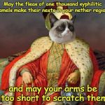 Grumpy Cat's "In-Sultan You" Arabic Style | May the fleas of one thousand syphilitic camels make their nests in your nether regions; and may your arms be too short to scratch them | image tagged in memes,grumpy cat,ancient,arabic,insults,sultan | made w/ Imgflip meme maker