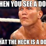 Randy Orton | WHEN YOU SEE A DOGE; WHAT THE HECK IS A DOGE | image tagged in randy orton | made w/ Imgflip meme maker