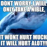 animals | DONT WORRY, I WILL ONLY TAKE A NIBLE, IT WONT HURT MUCH, IT WILL HURT ALOT!!! | image tagged in animals | made w/ Imgflip meme maker