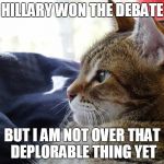 WINNING A DEBATE IS ONE THING GETTING PERSONAL IS ANOTHER | HILLARY WON THE DEBATE; BUT I AM NOT OVER THAT DEPLORABLE THING YET | image tagged in thoughtful cat,election 2016,hillary clinton 2016,trump 2016,basket of deplorables | made w/ Imgflip meme maker