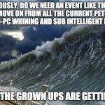 Sarcastic disaster | SERIOUSLY, DO WE NEED AN EVENT LIKE THIS TO FINALLY MOVE ON FROM ALL THE CURRENT PETTY HATES, PC AND ANTI-PC WHINING AND SUB INTELLIGENT EXCHANGES? BECAUSE THE GROWN UPS ARE GETTING FED UP | image tagged in sarcastic disaster | made w/ Imgflip meme maker