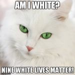 White cat | AM I WHITE? NINE WHITE LIVES MATTER! | image tagged in white cat | made w/ Imgflip meme maker