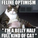 Today is going to be great | FELINE OPTIMISM; " I'M A BELLY HALF FULL KIND OF CAT " | image tagged in fat cat | made w/ Imgflip meme maker