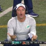 miami dolphins coach wtf are you doing