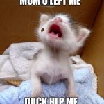 TinyKittens | MOM U LEFT ME; DUCK HLP ME | image tagged in tinykittens,scumbag | made w/ Imgflip meme maker