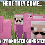 PinkSheepArmy | HERE THEY COME... THE #PGN
(PRANKSTER GANGSTER NATION) | image tagged in pinksheeparmy | made w/ Imgflip meme maker