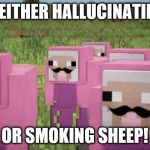 PinkSheepArmy | I'M EITHER HALLUCINATING... OR SMOKING SHEEP! | image tagged in pinksheeparmy | made w/ Imgflip meme maker