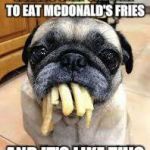 Fries pug | THERE'S ONLY ONE WAY TO EAT MCDONALD'S FRIES; AND IT'S LIKE THIS | image tagged in fries pug | made w/ Imgflip meme maker