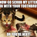 I Hate Cats | NOW GO SCRUB MY LITTER BOX WITH YOUR TOOTHBRUSH; OR YOU'RE NEXT! | image tagged in i hate cats | made w/ Imgflip meme maker
