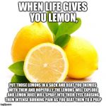 when lif gives you lemons | WHEN LIFE GIVES YOU LEMON, PUT THOSE LEMONS IN A SACK AND BEAT YOU ENEMIES WITH THEM AND HOPEFULLY THE LEMONS WILL EXPLODE AND LEMON JUICE WILL SPRAY INTO THEIR EYES CAUSING THEM INTENSE BURNING PAIN AS YOU BEAT THEM TO A PULP | image tagged in when lif gives you lemons | made w/ Imgflip meme maker