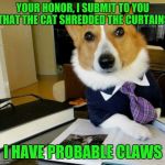 Lawyer Corgi Dog | YOUR HONOR, I SUBMIT TO YOU THAT THE CAT SHREDDED THE CURTAINS I HAVE PROBABLE CLAWS | image tagged in lawyer corgi dog | made w/ Imgflip meme maker