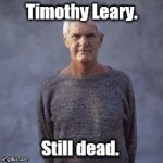 Leary Glickstein | Timothy Leary. Still dead. | image tagged in leary glickstein | made w/ Imgflip meme maker