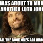 I was about to make another lotr joke | I WAS ABOUT TO MAKE ANOTHER LOTR JOKE; BUT ALL THE GOOD ONES ARE ARAGONE | image tagged in i was about to make another lotr joke | made w/ Imgflip meme maker