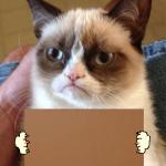 Grumpy Cat Cardboard Sign meme