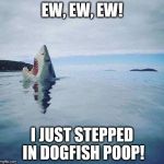 shark_head_out_of_water | EW, EW, EW! I JUST STEPPED IN DOGFISH POOP! | image tagged in shark_head_out_of_water | made w/ Imgflip meme maker