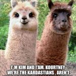 Happy Birthday Llama | I' M KIM AND I'AM. KOURTNEY WE'RE THE KARDASTIANS , AREN'T WE BEAUTIFUL ! PLEASE SEND MONEY! | image tagged in happy birthday llama | made w/ Imgflip meme maker