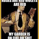 Poetry dude | ROSES ARE RED
VIOLETS ARE RED; MY GARDEN IS ON FIRE
OH SHIT | image tagged in poetry dude | made w/ Imgflip meme maker