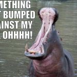 Hippo Mouth Open | SOMETHING JUST BUMPED AGAINST MY HIP, OHHHH! | image tagged in hippo mouth open,hippo,hippopotamus,big mouth,donald trump the clown,i want a hippopotamus | made w/ Imgflip meme maker