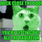 OMG RayCat | QUICK CLOSE THE DOOR; YOU'RE LETTING OUT ALL THE RADIATION | image tagged in omg raycat | made w/ Imgflip meme maker