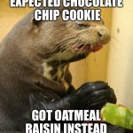 Disgusted Otter | EXPECTED CHOCOLATE CHIP COOKIE; GOT OATMEAL RAISIN INSTEAD | image tagged in disgusted otter | made w/ Imgflip meme maker