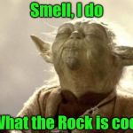 IN 2013 YODA BE LIKE | Smell, I do; What the Rock is cookin' | image tagged in in 2013 yoda be like | made w/ Imgflip meme maker