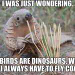 Pondering Pangolin | I WAS JUST WONDERING... IF BIRDS ARE DINOSAURS, WHY DO I ALWAYS HAVE TO FLY COACH | image tagged in pondering pangolin | made w/ Imgflip meme maker